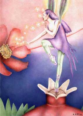 POMEGRANATE FAERY by Kristen Schwartz